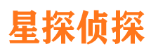 平阳侦探公司